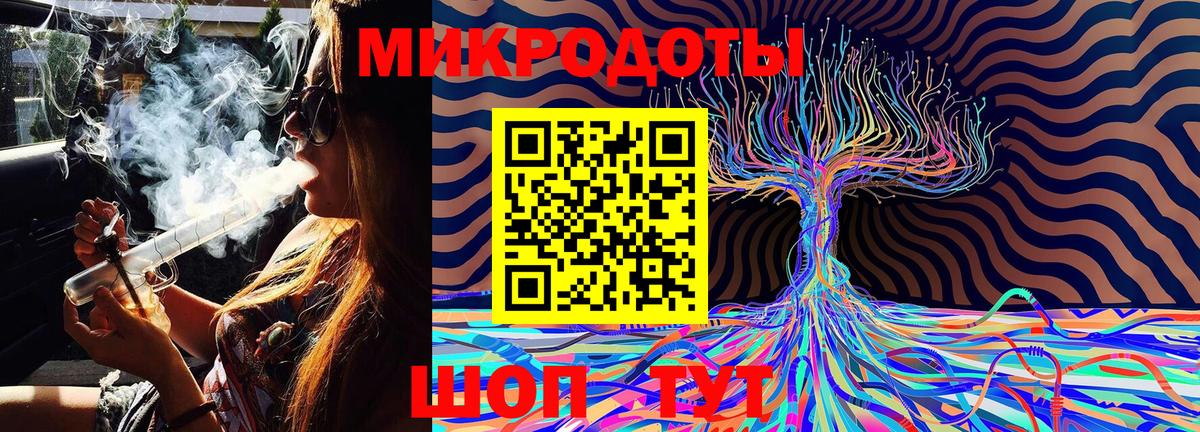 Галлюциногенные грибы Psilocybine cubensis Сочи