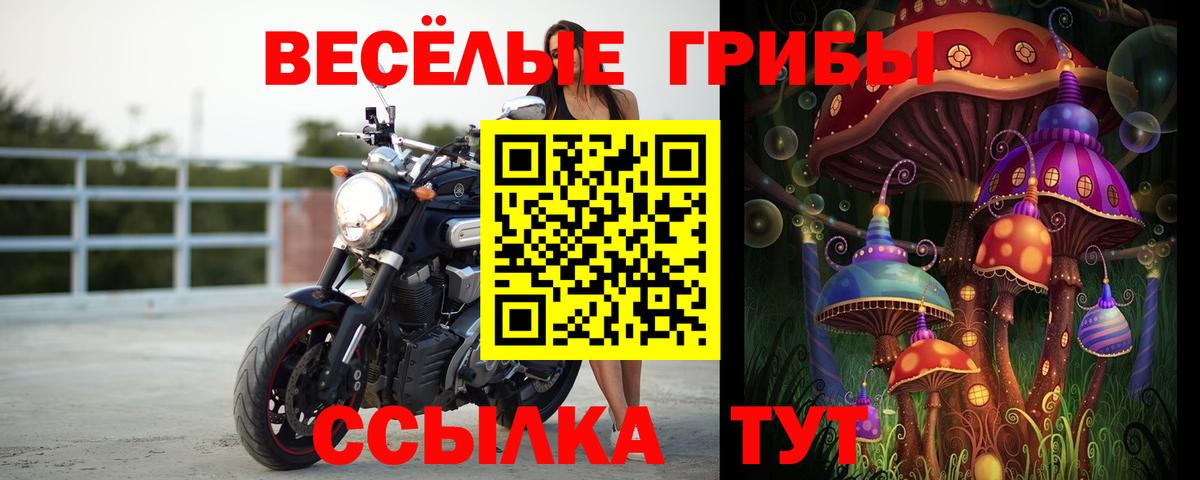 Галлюциногенные грибы Psilocybine cubensis  Галлюциногенные грибы Cubensis  купить закладку  Сочи  Вход с VPN 